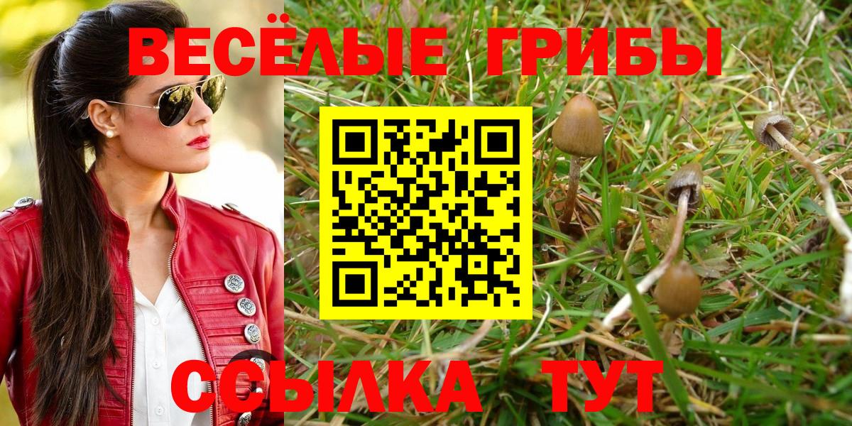 Надым  Псилоцибиновые грибы Cubensis  Вход с VPN  Галлюциногенные грибы Psilocybe 