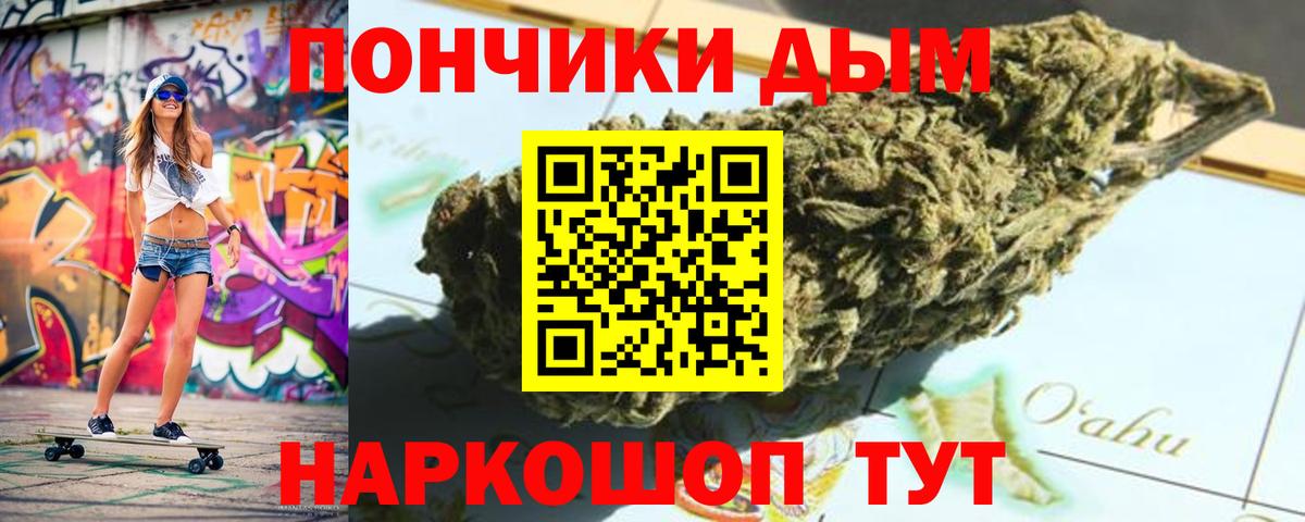 Бошки Шишки гибрид Надым